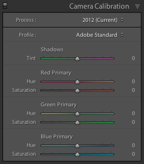 Paleta Camera Calibration