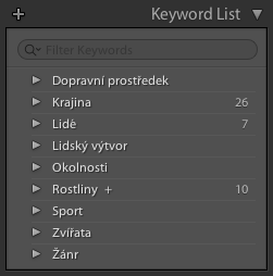 Paleta Keyword List
