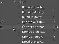 Zaškrtávátko v paletě Keyword List