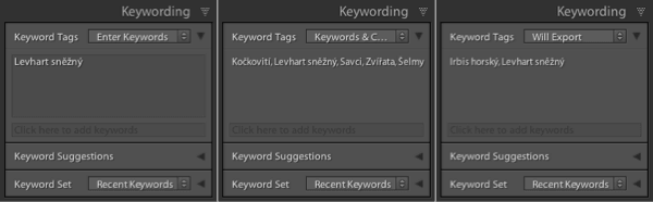 Paleta Keywording nabízí různé pohledy na přiřazená klíčová slova