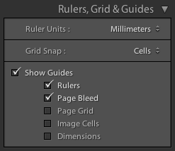 Paleta Rulers, Grid & Guides