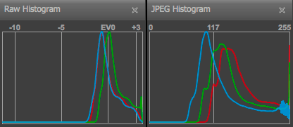 Histogram RAWu a JPEGu