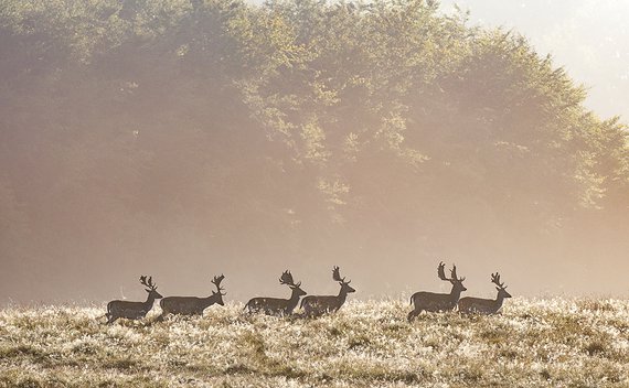 Po použití Prolost Dehaze s hodnotou 76 Prolost Dehaze – po