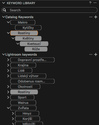 Paleta Keyword Library