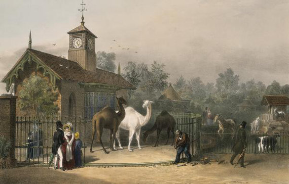 Londýnská zoo nedlouho po svém otevření v roce 1835