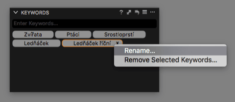 Menu pro přejmenování klíčového slova
