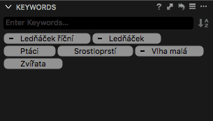 Označení klíčových slov nepřiřazených všem fotografiím