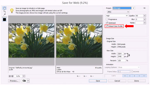 Dialog Save for Web ve Photoshopu Elements