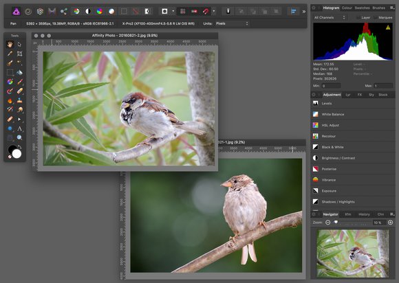 Affinity Photo v režimu oddělených oken