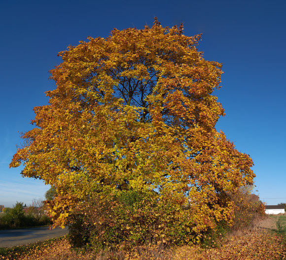 Výsledné panorama