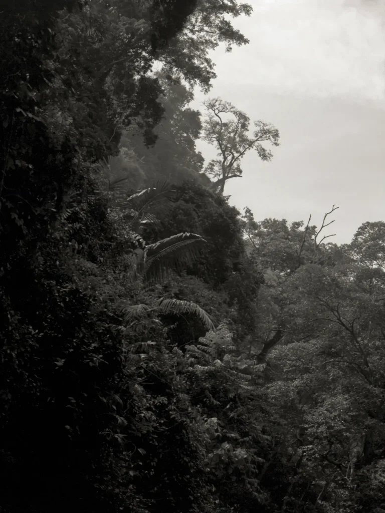 Khao Sok