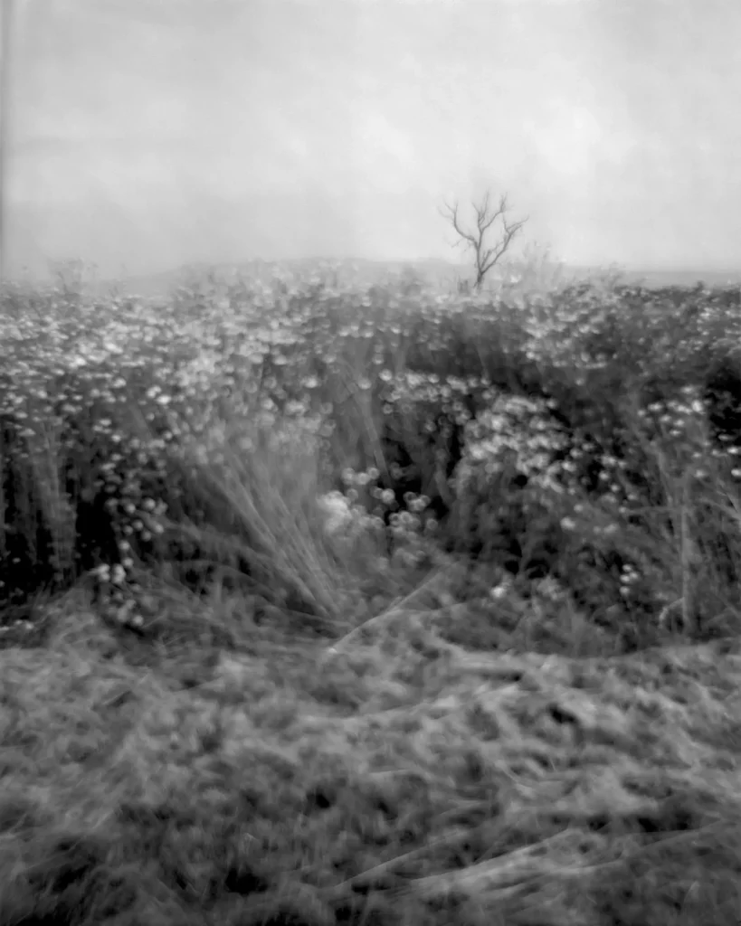 Kodak Portrait 305mm f4.5