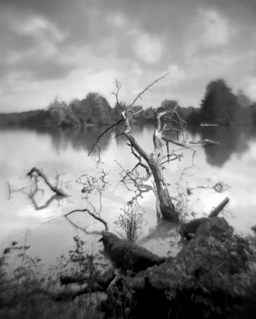 Kodak Portrait 305mm f4.5