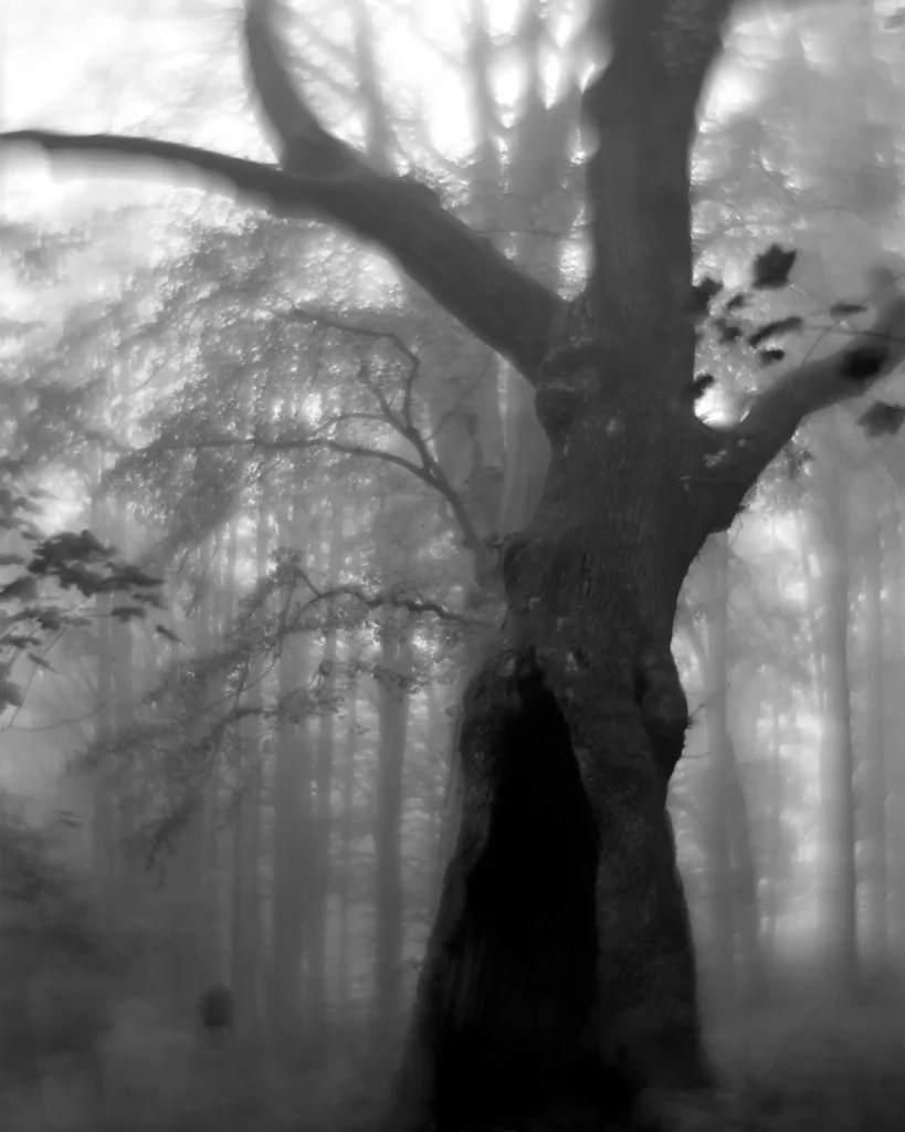 Kodak Portrait 305mm f4.5