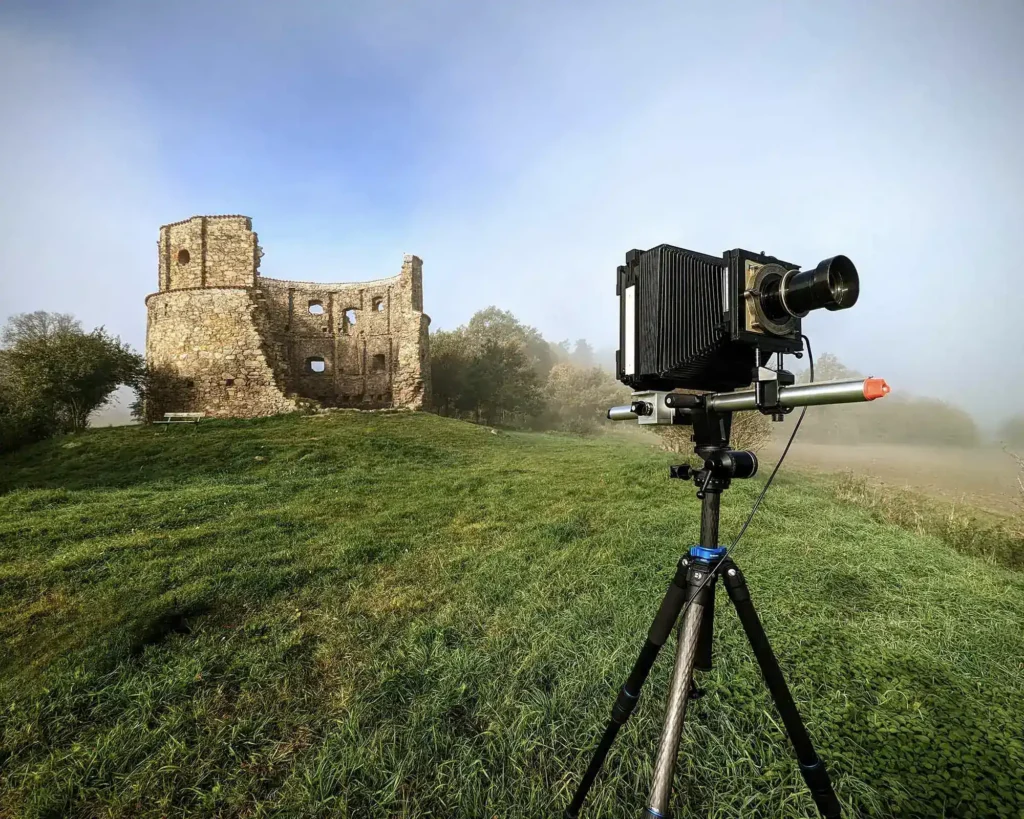 Sinárek v jarním rozpuku...