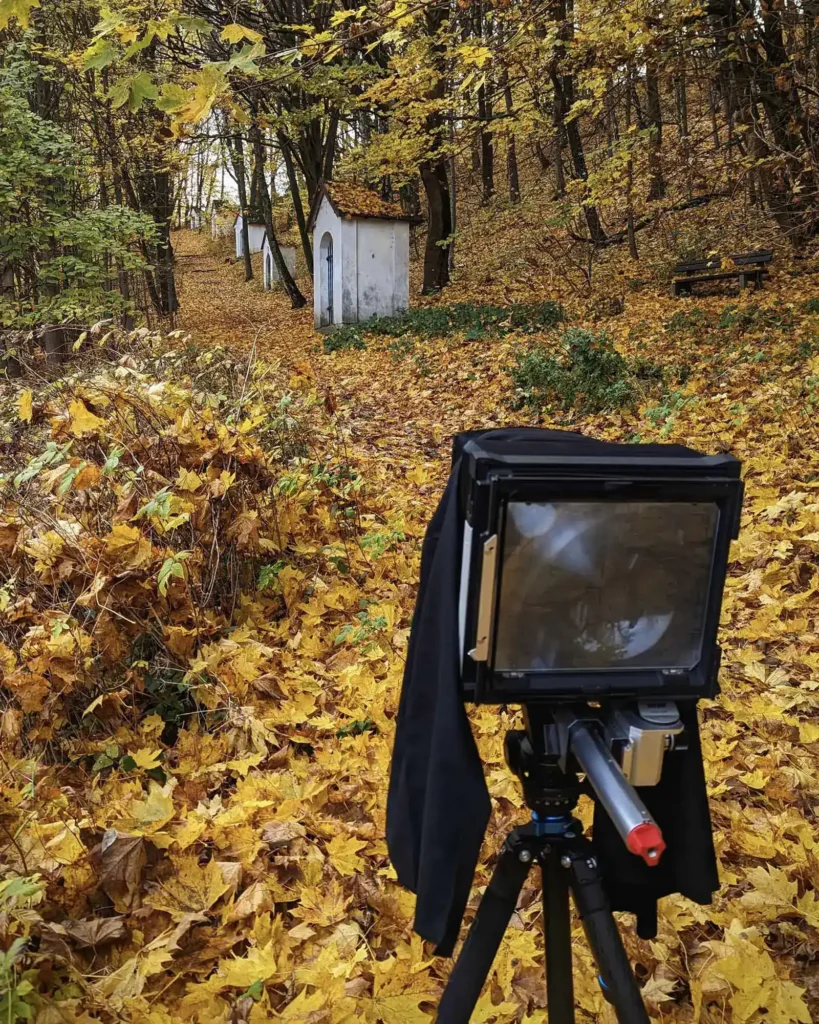 ...podzimní plískanici...