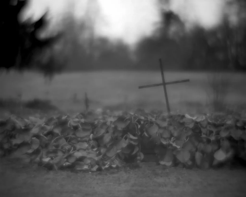 FL 740mm f1