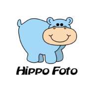 Hippo Foto